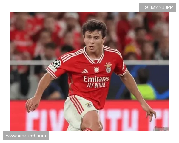 若昂内维斯：从新星崛起到足球巨星的华丽转身与未来展望