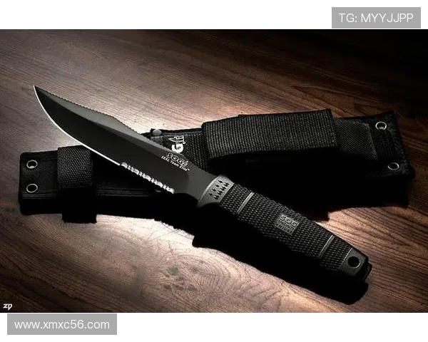 和平精英战术分析：LNG包夹战术的成功与不足之处探讨